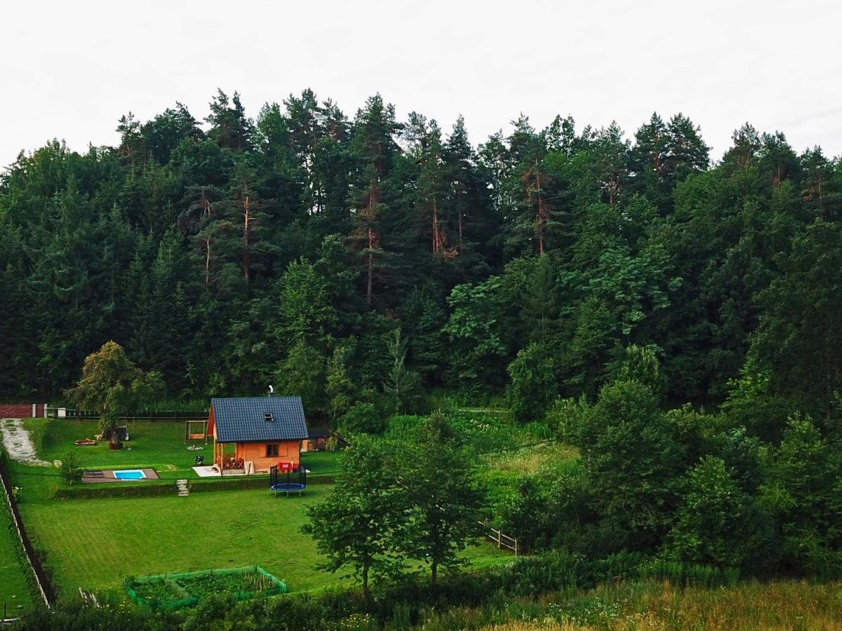 Domek Skowronek z basenem Lesko Zewnętrze zdjęcie