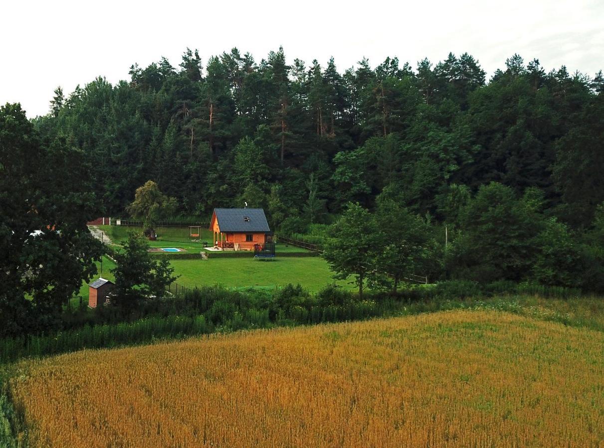 Domek Skowronek z basenem Lesko Zewnętrze zdjęcie