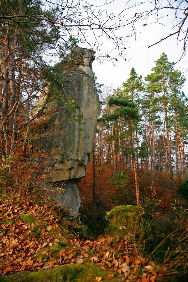 Domek Skowronek z basenem Lesko Zewnętrze zdjęcie
